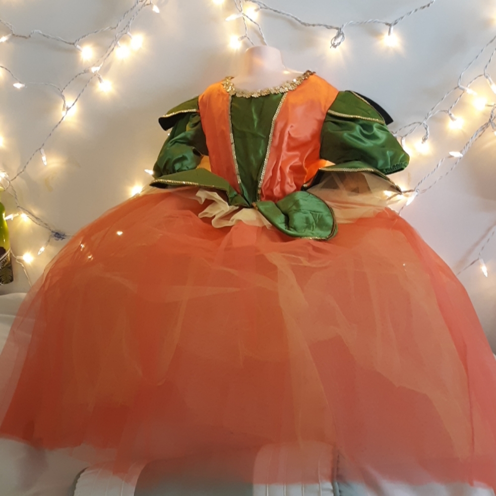Pumpkin Queen Girls Medium Tulle and Satin Dress